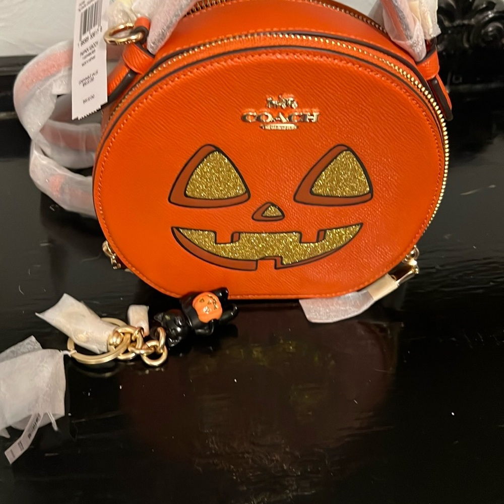 Coach Orange Halloween Crossbody Bag AND cat charm